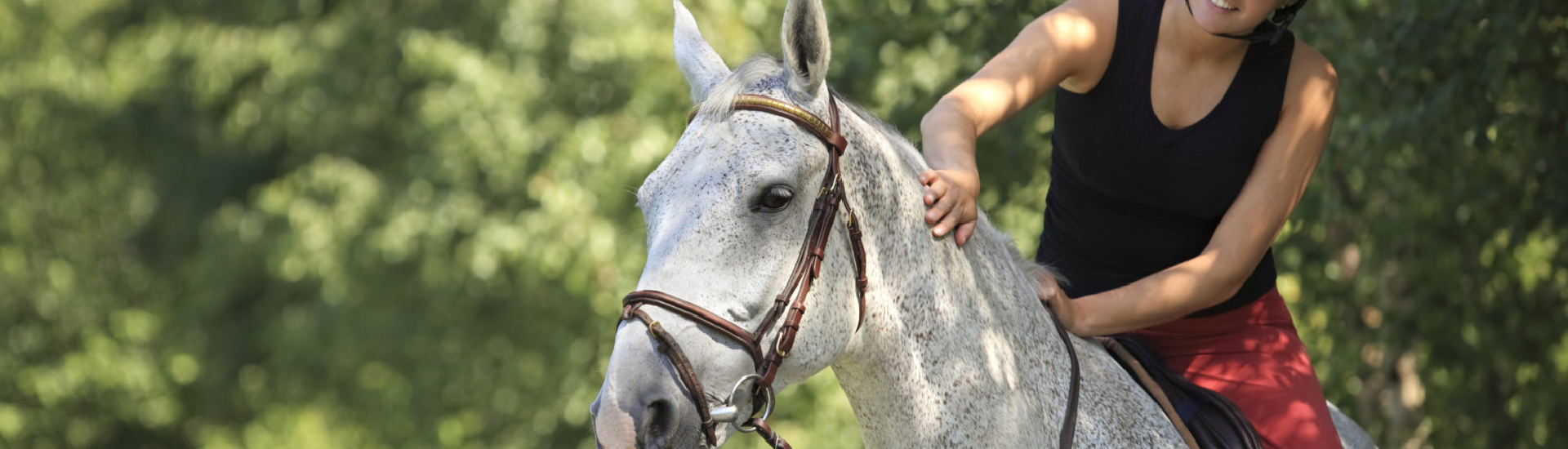 Lire la suite à propos de l’article Aide spécifique aux centres équestres et poney-clubs