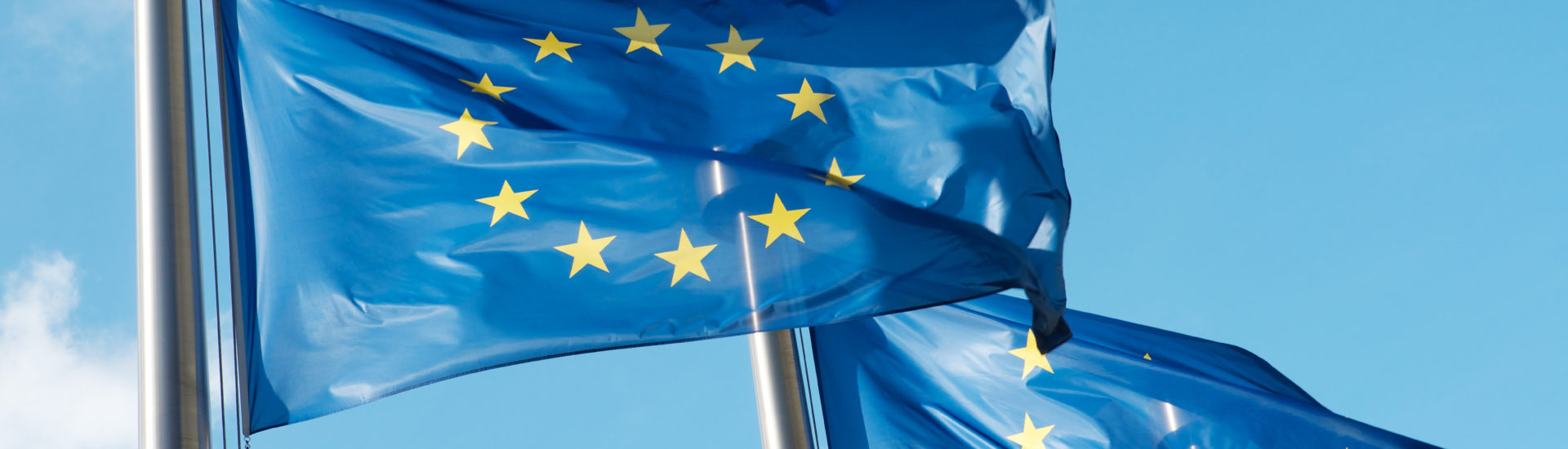 Lire la suite à propos de l’article Les échanges économiques au sein de l’Union européenne