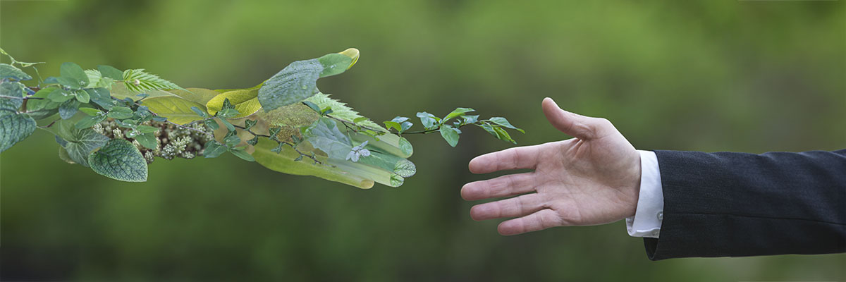 Lire la suite à propos de l’article Tout savoir sur la création d’une entreprise de l’économie sociale et solidaire  